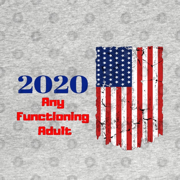 2020 Election USA by TulipDesigns